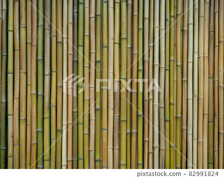 Bamboo wall Bamboo wall 82991824