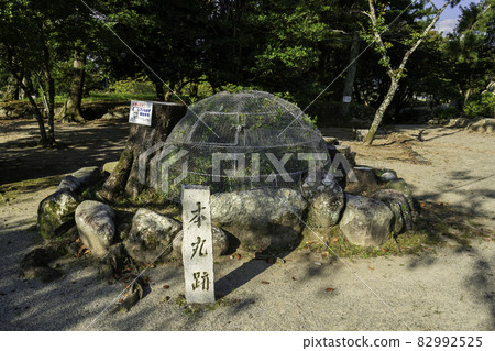 松阪 松阪城遺址 本丸井遺址 三重縣松阪市 松阪 松阪城遺址 本丸井遺址 三重縣松阪市 82992525