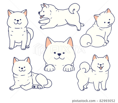 可愛的白色柴犬套裝 82993052