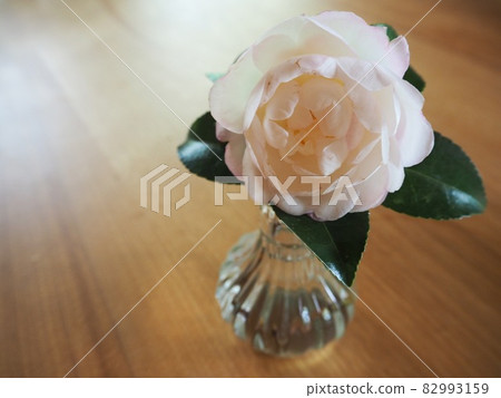 花瓶裡的花 花瓶裡的花 82993159