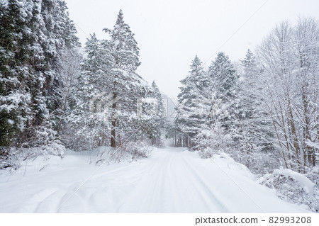 Snow-covered road Snow-covered road 82993208