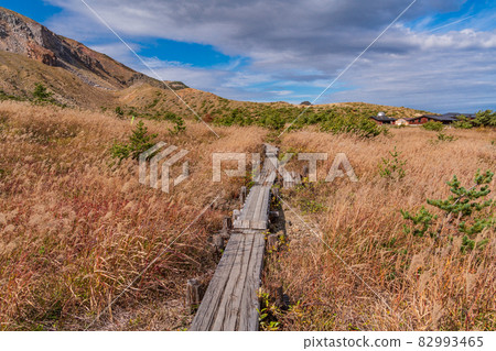 (Fukushima Prefecture) Jododaira Marsh with beautiful autumn colors and Mt. Issaikyo (Fukushima Prefecture) Jododaira Marsh with beautiful autumn colors and Mt. Issaikyo 82993465
