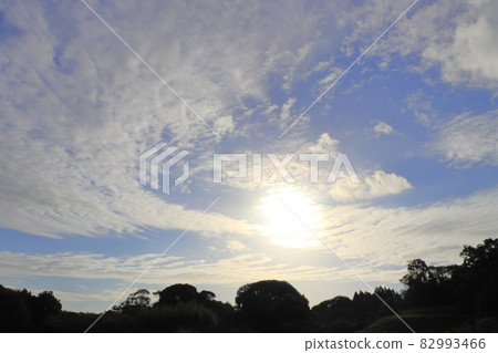 Morning sky, sun, clouds, trees 82993466