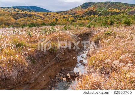 (福島縣)淨土平沼澤流出的溫泉 (福島縣)淨土平沼澤流出的溫泉 82993700