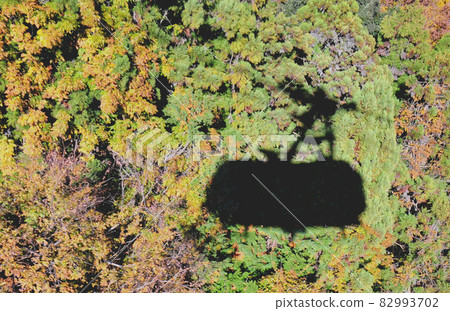 秋天的 Hodosan 索道 (Silhouette) 運行在秋葉上的索道 82993702