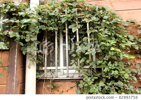 Plants that have begun to cover empty houses (4) 82993758