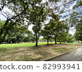 Oizumi Ryokuchi Park 82993941