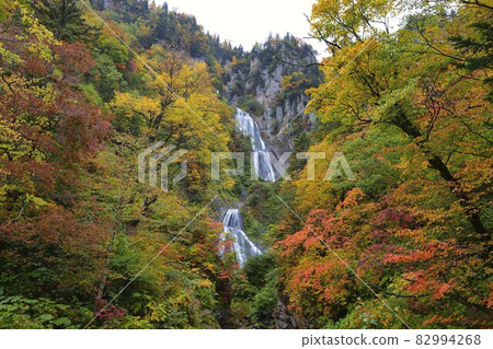 Tenjinkyo Hagoromo Falls 82994268