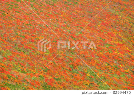 Mt. Kurikoma, which straddles the three prefectures of Miyagi prefecture, Iwate prefecture, and Akita prefecture. Mt. Kurikoma, which straddles the three prefectures of Miyagi prefecture, Iwate prefecture, and Akita prefecture. 82994470