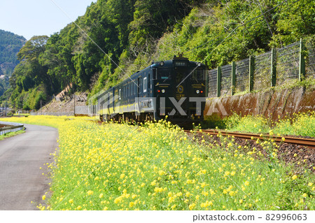 "Kawasemi Yamasemi" and rape blossoms running along the Kuma River 82996063
