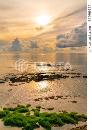 Sea of dawn 82996455