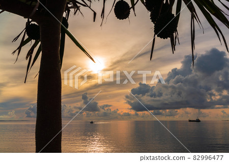 黎明之海 82996477