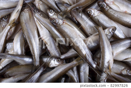 Smelt fish background 82997826