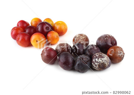 Plums and rotten plums Plums and rotten plums 82998062