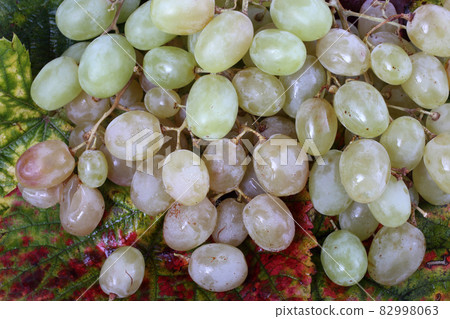 Grape on autumn leaves background Grape on autumn leaves background 82998063