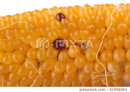 Colorful corn background Colorful corn background 82998064