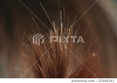 Healthy hair ends Healthy hair ends 82998161