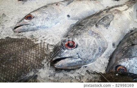 Close-up of fresh fishes on crushed ice for sale at the seafood market, Fresh fishes on ice for cooking, Raw fishes on ice and lemon for food Close-up of fresh fishes on crushed ice for sale at the seafood market, Fresh fishes on ice for cooking, Raw fishes on ice and lemon for food 82998169
