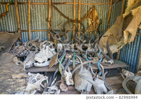 Natch Sahar National Park Storage 82998994