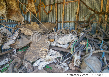 Natch Sahar National Park Storage Natch Sahar National Park Storage 82998995
