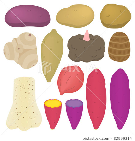 Illustrations of various potatoes Illustrations of various potatoes 82999314