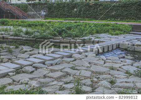 貞陵川踏腳石橋周邊景色 貞陵川踏腳石橋周邊景色 82999812