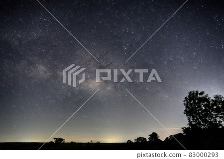 Milky Way and silhouette tree view. 83000293