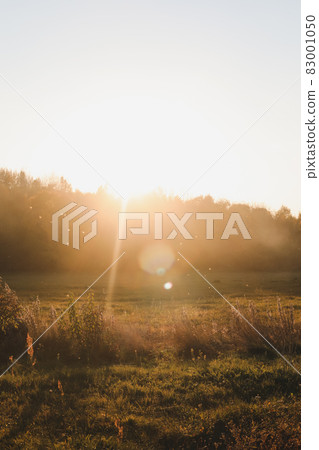 scenic countryside landscape at sunset in autumn scenic countryside landscape at sunset in autumn 83001050