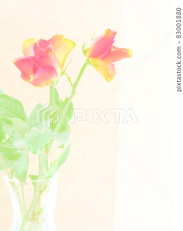 絢麗的玫瑰花 絢麗的玫瑰花 83001880