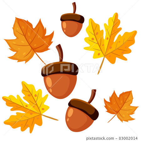 Acorns and maple leaves decor for autumn 83002014
