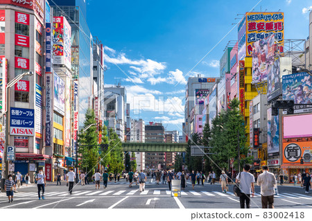 《Tokyo》 Akihabara's electric town / pedestrian paradise 《Tokyo》 Akihabara's electric town / pedestrian paradise 83002418