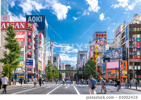 《Tokyo》 Akihabara's electric town / pedestrian paradise 83002419