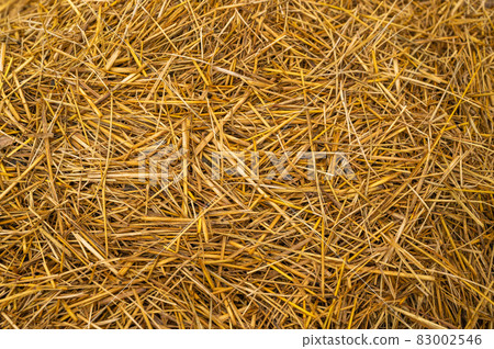 straw 83002546