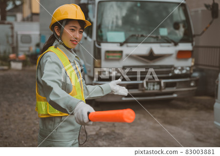 Traffic induction guards 83003881