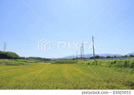 Rural scenery in Minami-ku, Sakai City [Osaka Prefecture] 83005053