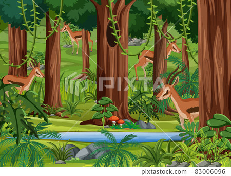 Wild animals in forest landscape background 83006096