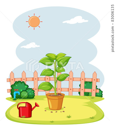 Pot plant in the garden Pot plant in the garden 83006135