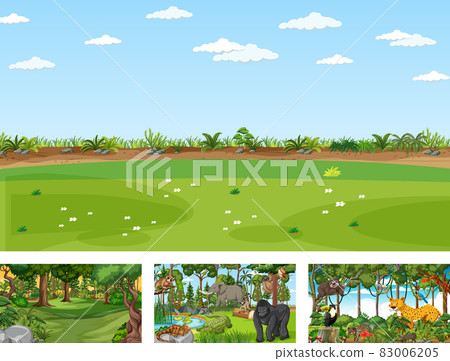 Different nature scenes of forest and rainforest with wild animals 83006205