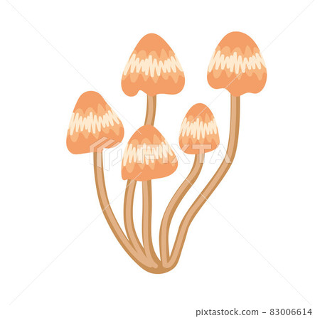 Toadstools poisonous mushrooms. Woodland and forest element. 83006614