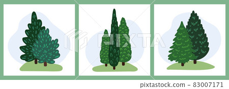 Spruce and pine, fir. Group of coniferous evergreen trees. Collection of forest and park plants. 83007171