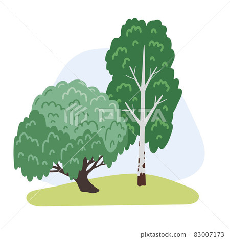 Willow and birch. Forest and park green plants, trees. 83007173