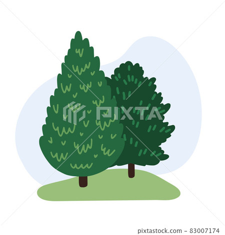 Spruce and pine, fir. Group of coniferous evergreen trees. 83007174