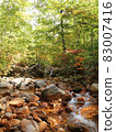 Steamed mountain trail 83007416
