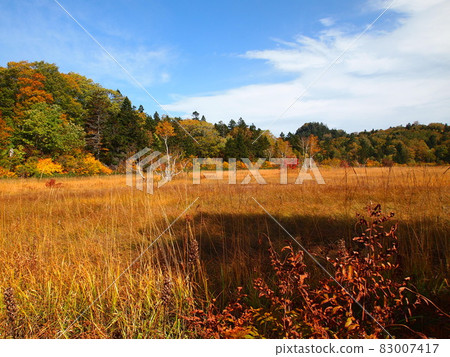 Steamed mountain trail Steamed mountain trail 83007417