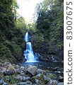 White cliff waterfall 83007675
