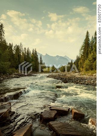 Bialka river in Podhale region, Poland 83007750