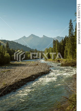 Bialka river in Tatra National Park, Podhale region, Poland 83007751