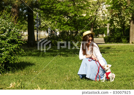 Attractive hipster young woman went for a walk in the park, playing with cute jack russell terrier puppy on clear sunny day. 83007925