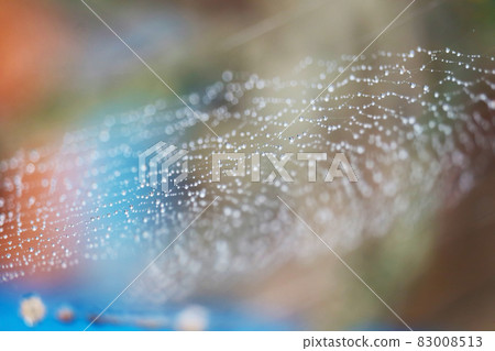 blurred abstract cobweb natural with rain drop on the line against the sun blurred abstract cobweb natural with rain drop on the line against the sun 83008513