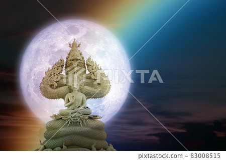 Buddha protected by hood of mythical king naga on night sky and moon Buddha protected by hood of mythical king naga on night sky and moon 83008515